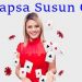 Situs Capsa Susun Online